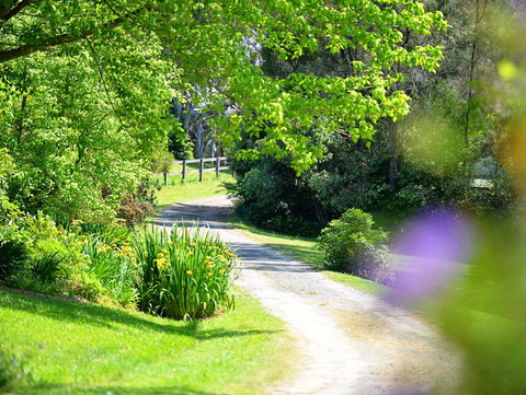 Bundara Farm - New Castle Holiday 0