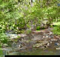 Cockadilly Escape - New Castle Holiday