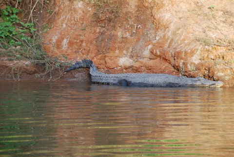 Mount Nancar Wilderness Retreat - New Castle Holiday 3