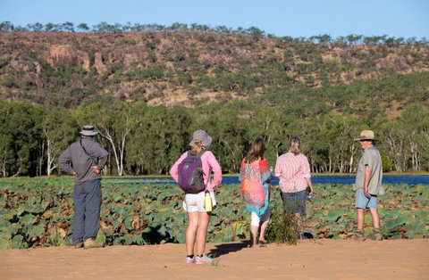 Mount Nancar Wilderness Retreat - New Castle Holiday 5