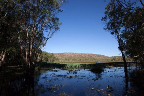 Mount Nancar Wilderness Retreat - New Castle Holiday 6