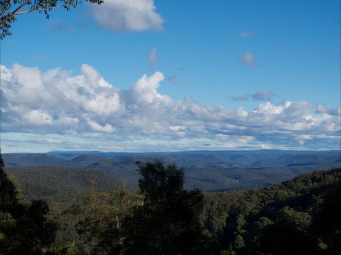 The Elk - New Castle Holiday 2