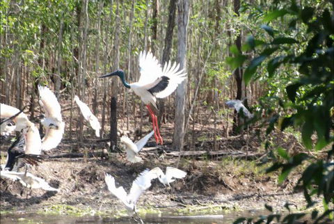 Rakhi Retreat - New Castle Holiday 0