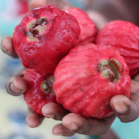 Rakhi Retreat - New Castle Holiday 5