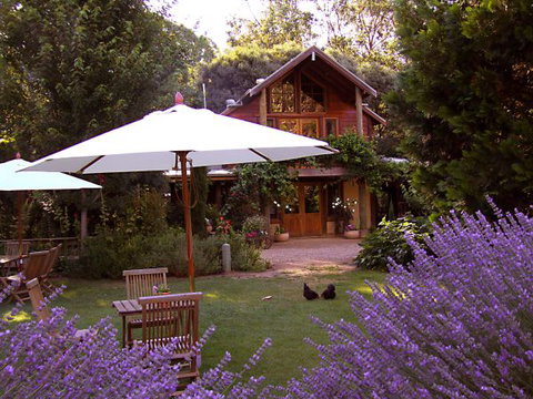 Lavender Hue - New Castle Holiday 0