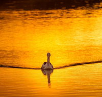 River Shack Rentals - Living the Dream - New Castle Holiday