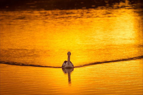 River Shack Rentals - Living The Dream - New Castle Holiday 0