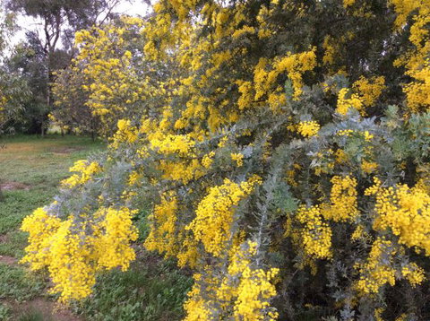 Balcraggon Accommodation - New Castle Holiday 8