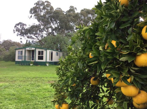 Balcraggon Accommodation - New Castle Holiday 9