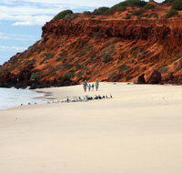 Herald Bight Camp at Francois Peron National Park - New Castle Holiday