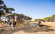 Kangaroo Island Health Retreat - thumb 8