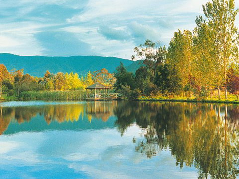 Kingbilli - New Castle Holiday 0