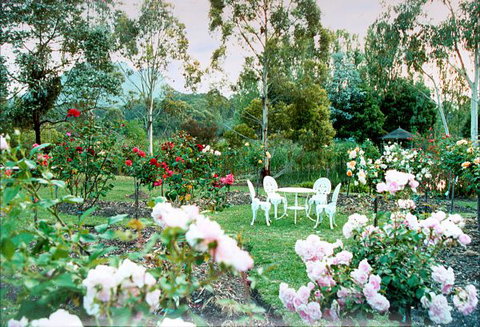 Kingbilli - New Castle Holiday 2