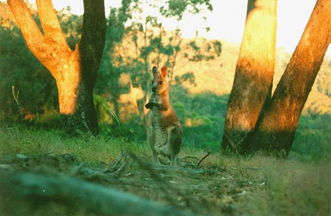 Kingbilli - New Castle Holiday 7