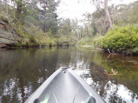 Corang River Bed And Breakfast - New Castle Holiday 9