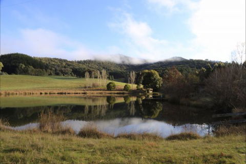 Jamieson Valley Retreat - New Castle Holiday 0