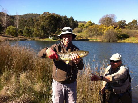 Jamieson Valley Retreat - New Castle Holiday 1