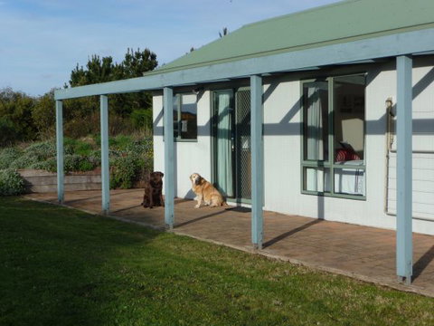Johanna Bluegum Holiday Cabins - New Castle Holiday 5