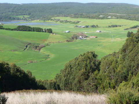 Johanna Bluegum Holiday Cabins - New Castle Holiday 8