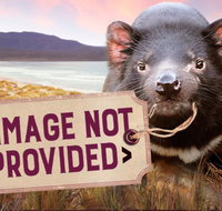 Thalia Haven - New Castle Holiday