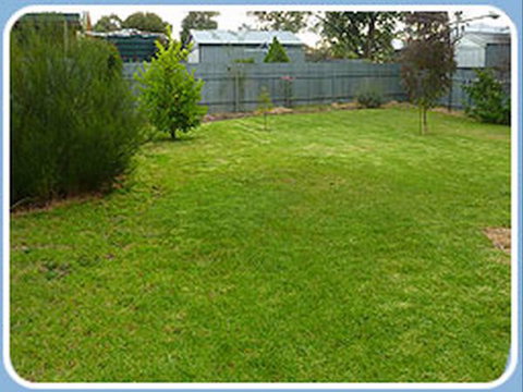 The Gums - New Castle Holiday 9