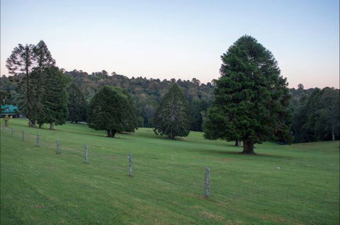 Bunya Mountains Accommodation Centre - New Castle Holiday 5