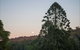 Bunya Mountains Accommodation Centre - thumb 6