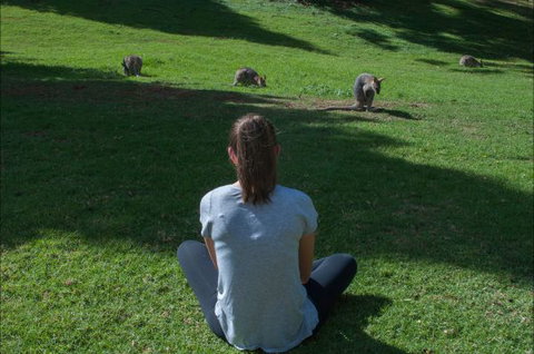 Bunya Mountains Accommodation Centre - New Castle Holiday 7