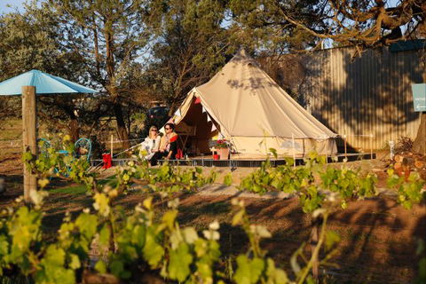 Grapevine Glamping - New Castle Holiday 0