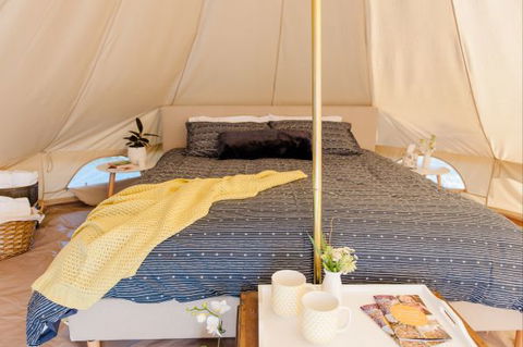 Grapevine Glamping - New Castle Holiday 1