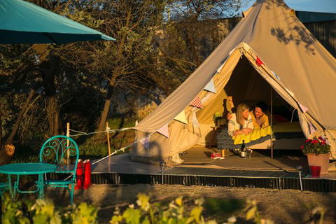 Grapevine Glamping - New Castle Holiday 5