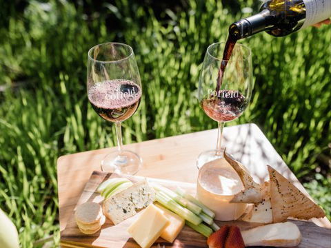 Grapevine Glamping - New Castle Holiday 8