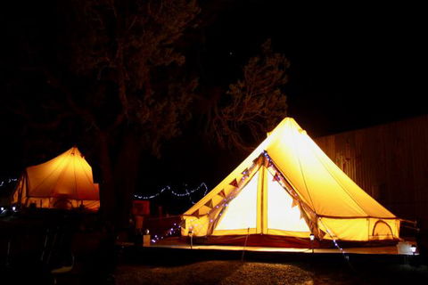 Grapevine Glamping - New Castle Holiday 9