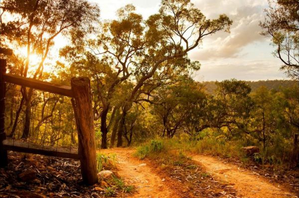 Blaxlands Ridge NSW New Castle Holiday