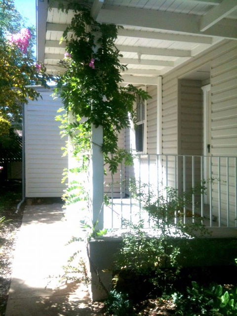 Wisteria Cottage - New Castle Holiday 0