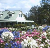 Emmas Cottage Vineyard - New Castle Holiday