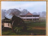 Megalong Valley Farm - New Castle Holiday 0