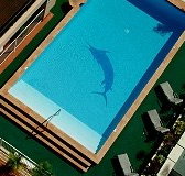 Pacific International Hotel - New Castle Holiday