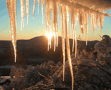 Burnt Hut - New Castle Holiday