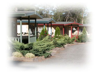 Kapunda Tourist Park - New Castle Holiday 1