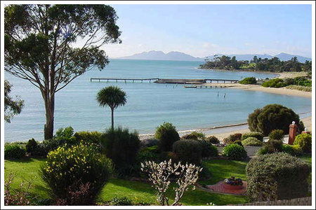 Amos House  & Swansea  Villas - New Castle Holiday 0
