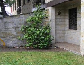 Avon Court Apartments - New Castle Holiday 2