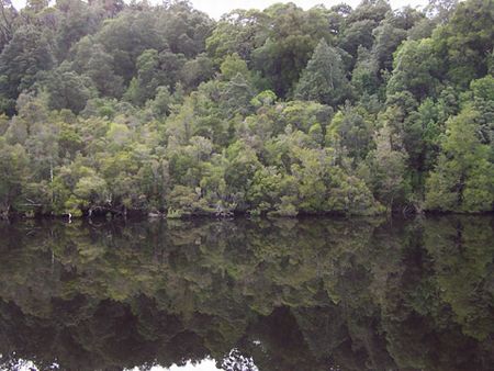 Castaway Holiday Apartments - New Castle Holiday 5