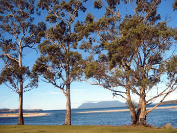 Island View Motel - New Castle Holiday 3