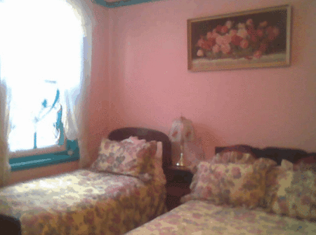 Hamilton Heritage Bed & Breakfast - New Castle Holiday 1