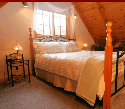 Otago Cottage - New Castle Holiday 3