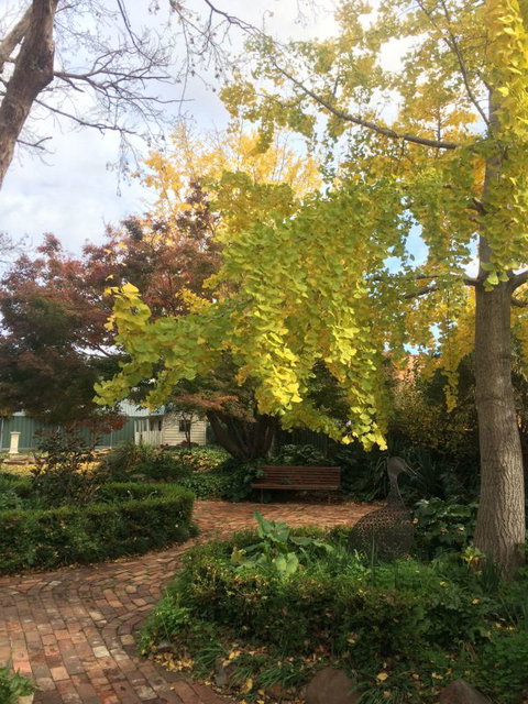 Cawarra On The Park - New Castle Holiday 5