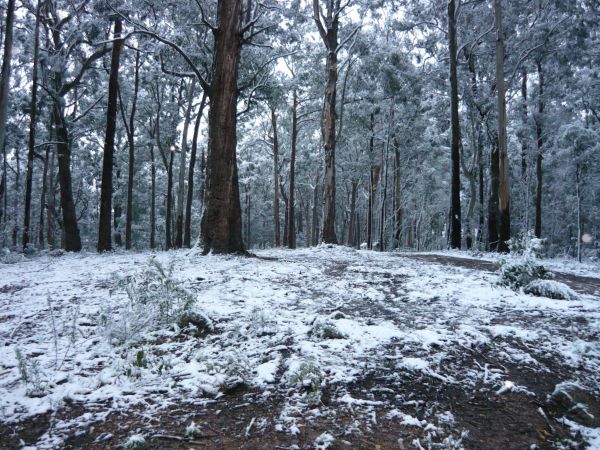 Fumina South VIC New Castle Holiday