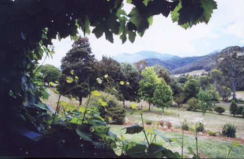 Springfield Cottage Bed & Breakfast - New Castle Holiday 1