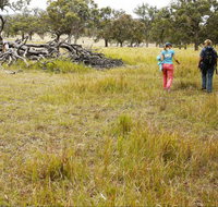 Carnarvon National Park camping - New Castle Holiday